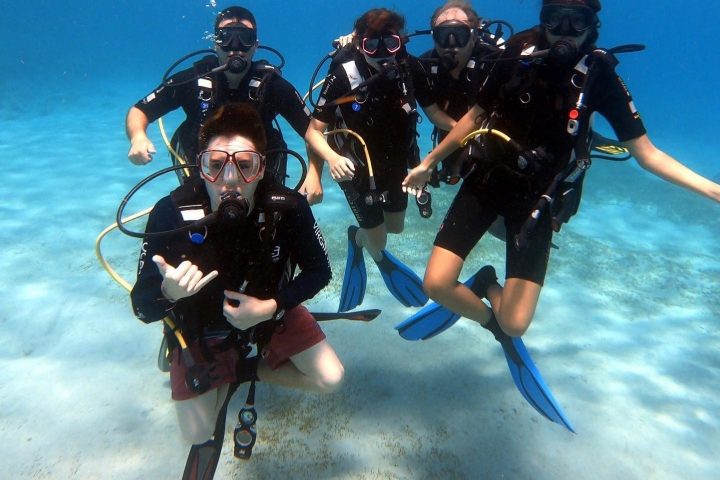 a group of people swimming in a body of water