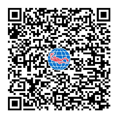 Padi-Dsd-QR-code qr code