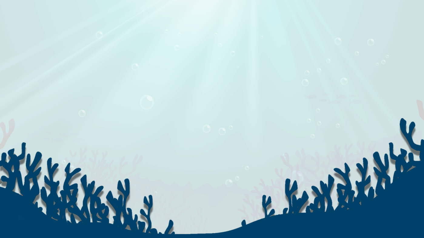 Aqua Marine Dive Center