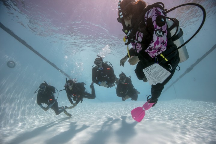 a group of people swimming in the water