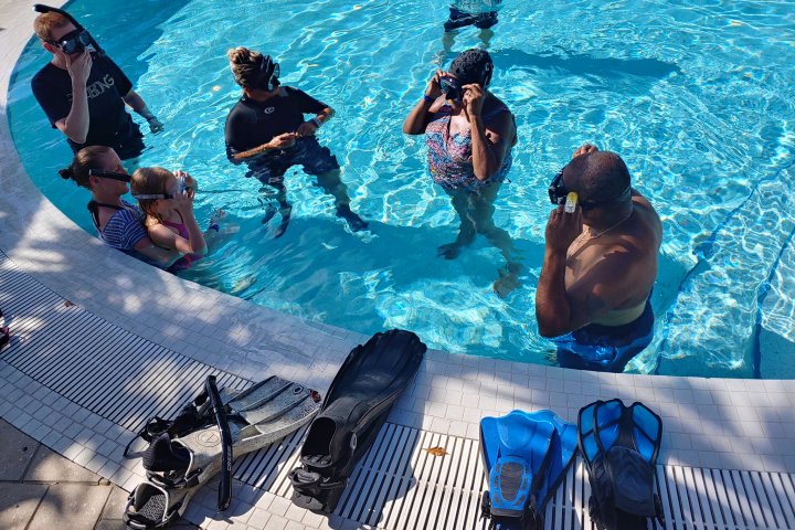 a group of people swimming in the water