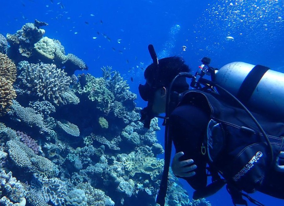 Scuba diver exploring colorful coral reef underwater.